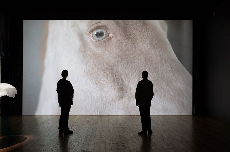Tove Kjellmark, The The Vanguard, 2022, foto Hendrik Zeitler