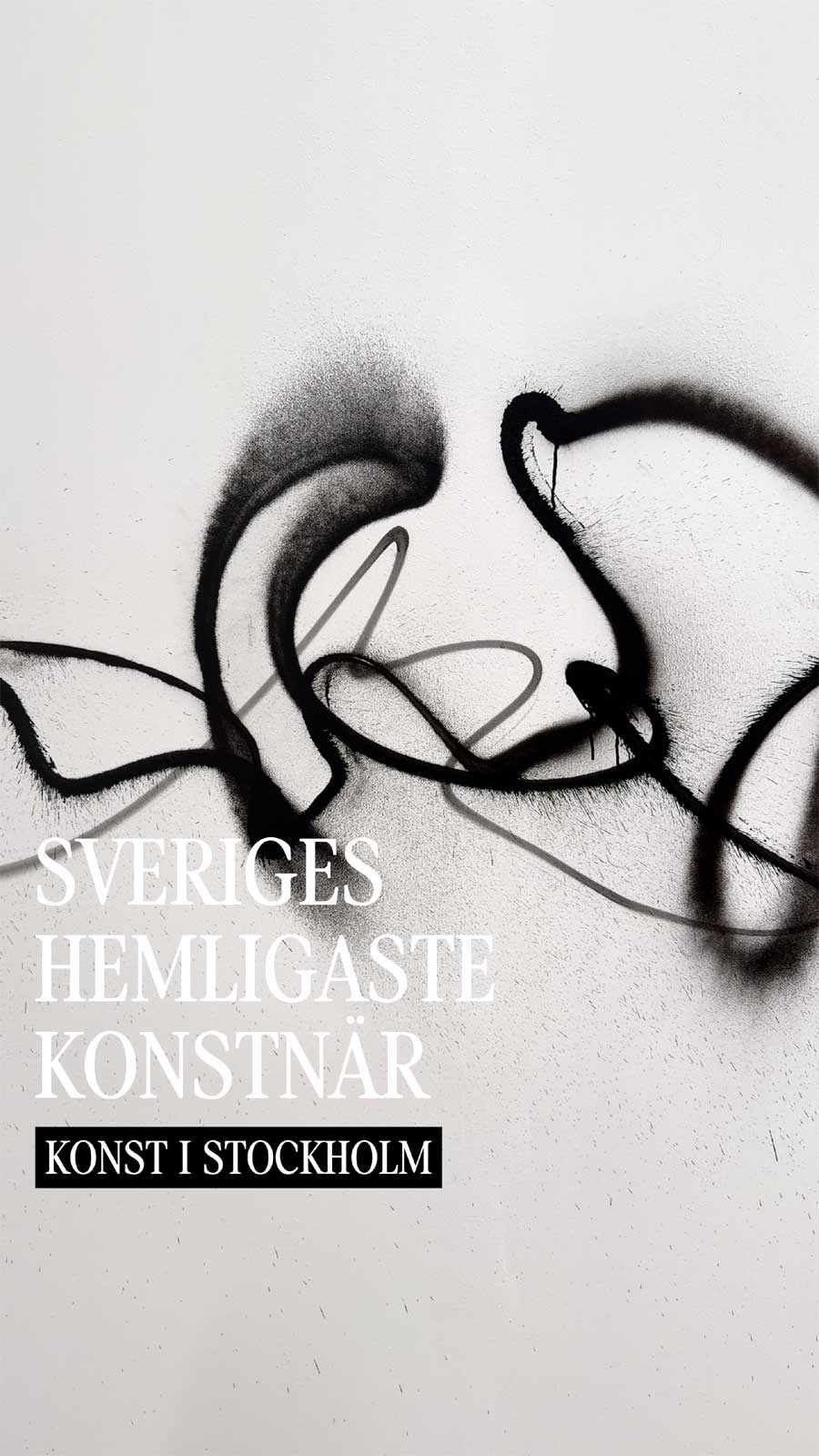 SVERIGES HEMLIGASTE KONSTNÄR