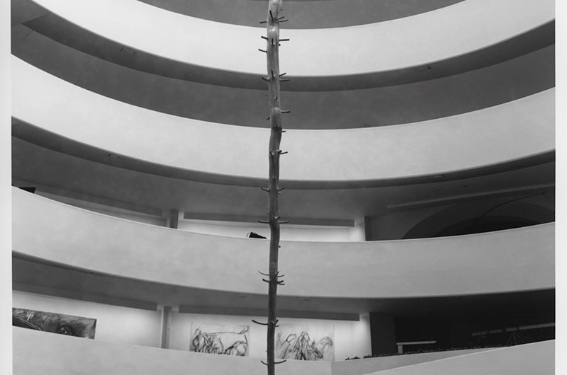 Albero di 12 metri, talian Art Now. An American Perspective. 1982 Exxon International Exhibition, The Solomon R. Guggenheim Museum, New York 1 April–20 June 1982