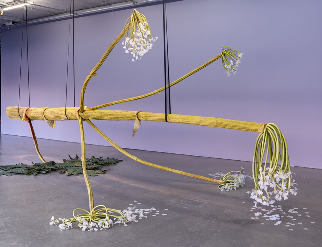 Ingela Ihrman / Nattens lekar