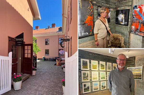 Galleri Lilla Huset
