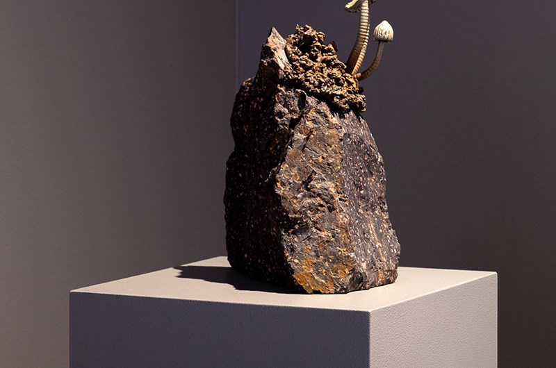 Utställningsvy, Vi känner hur marken bär, Ellen Ehk Åkesson & Pauline Fransson, Kalmar Konstmuseum