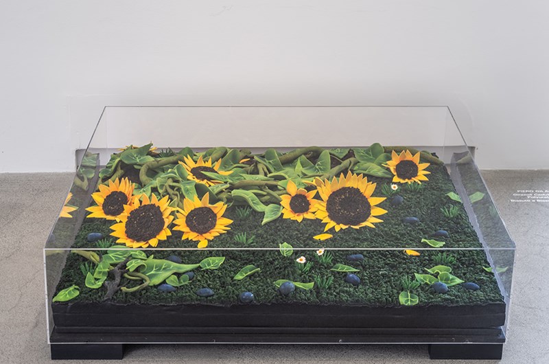 Piero Gilardi, Girasoli Caduti, 1967