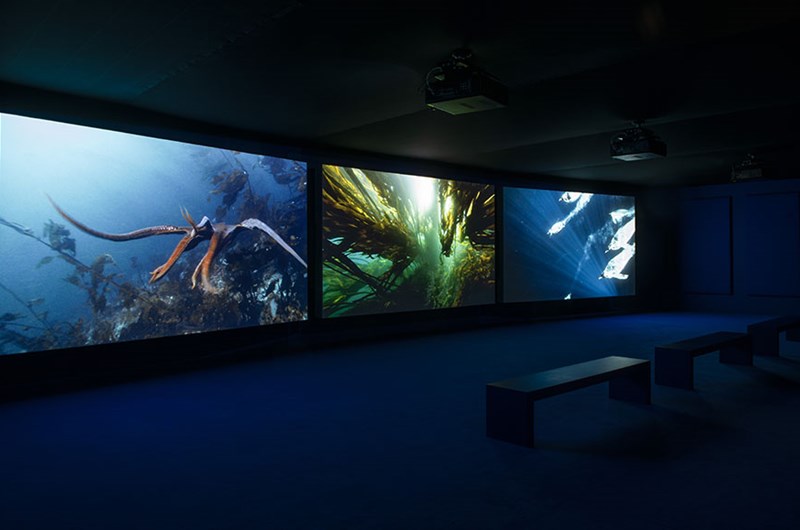 Installationsfoto från utställningen HAVET på Louisiana Museum of Modern Art