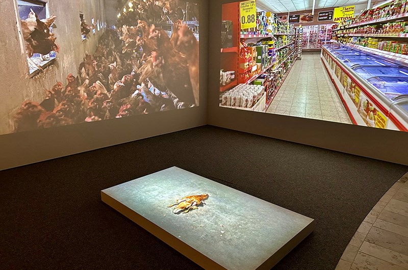 Helen Pynor The End Is A Distant Memory, 2016. Foto: Julia Hjertén