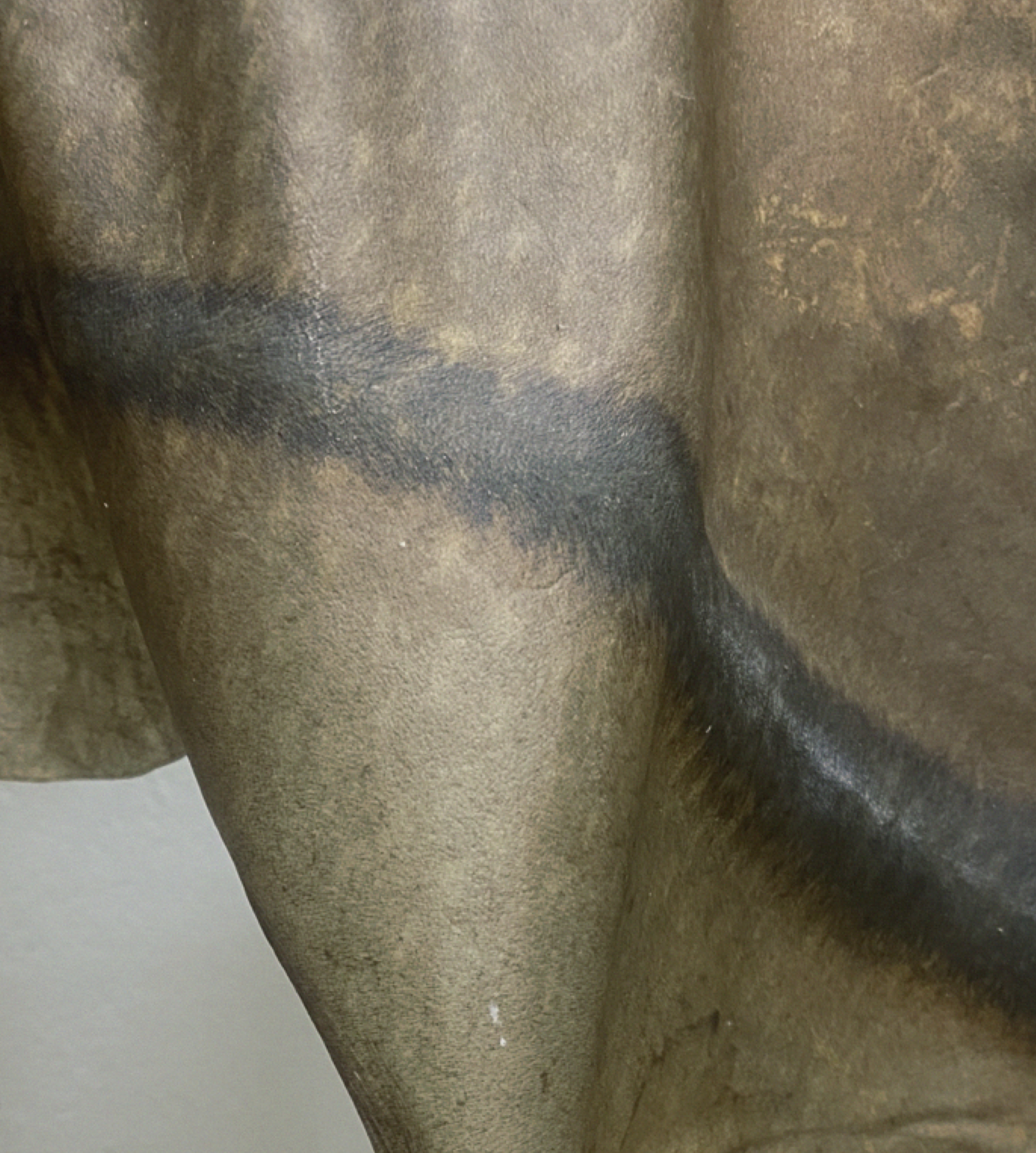 Fladdergång av Thale Vangen