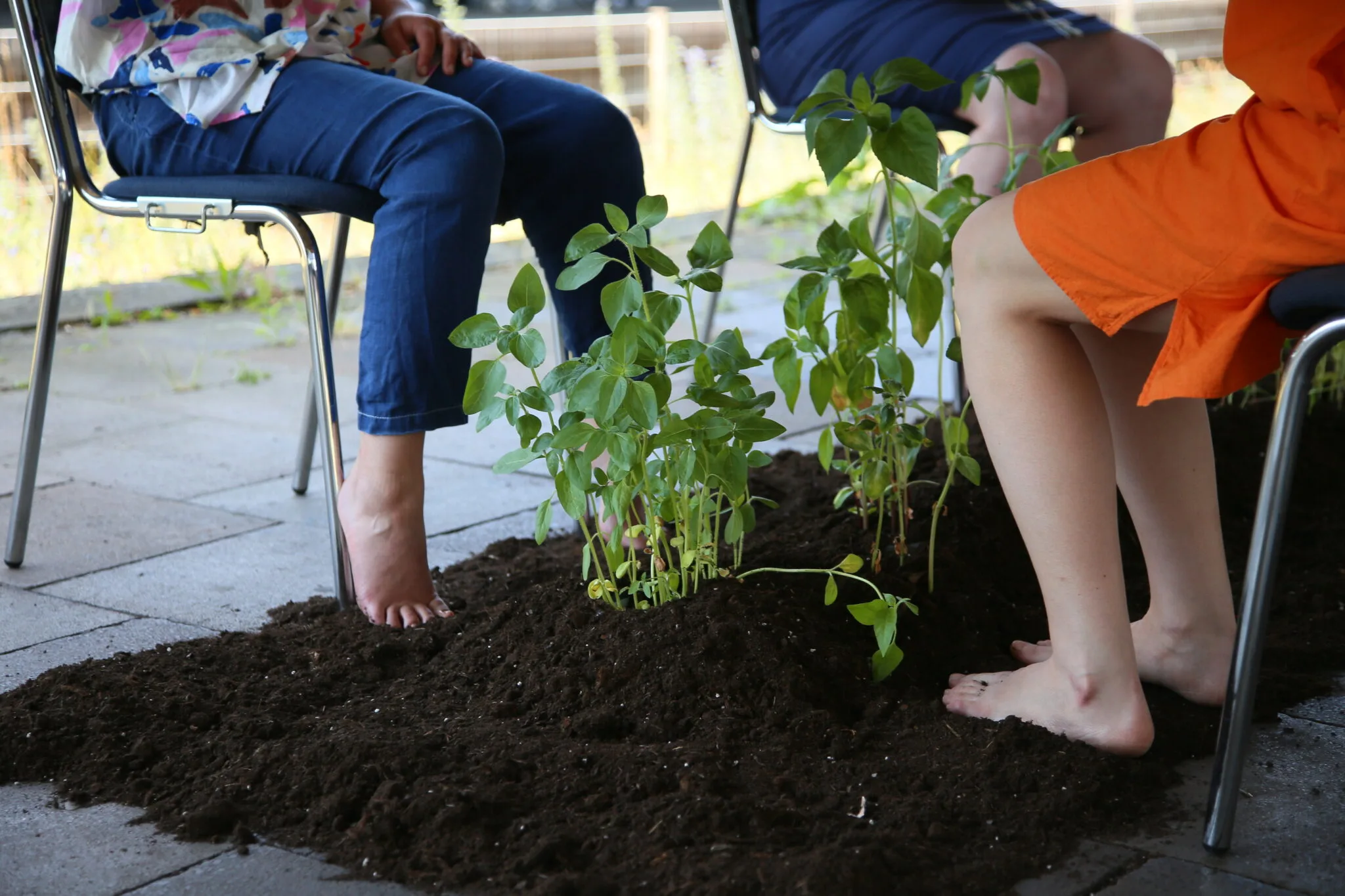 We are (like) Plants