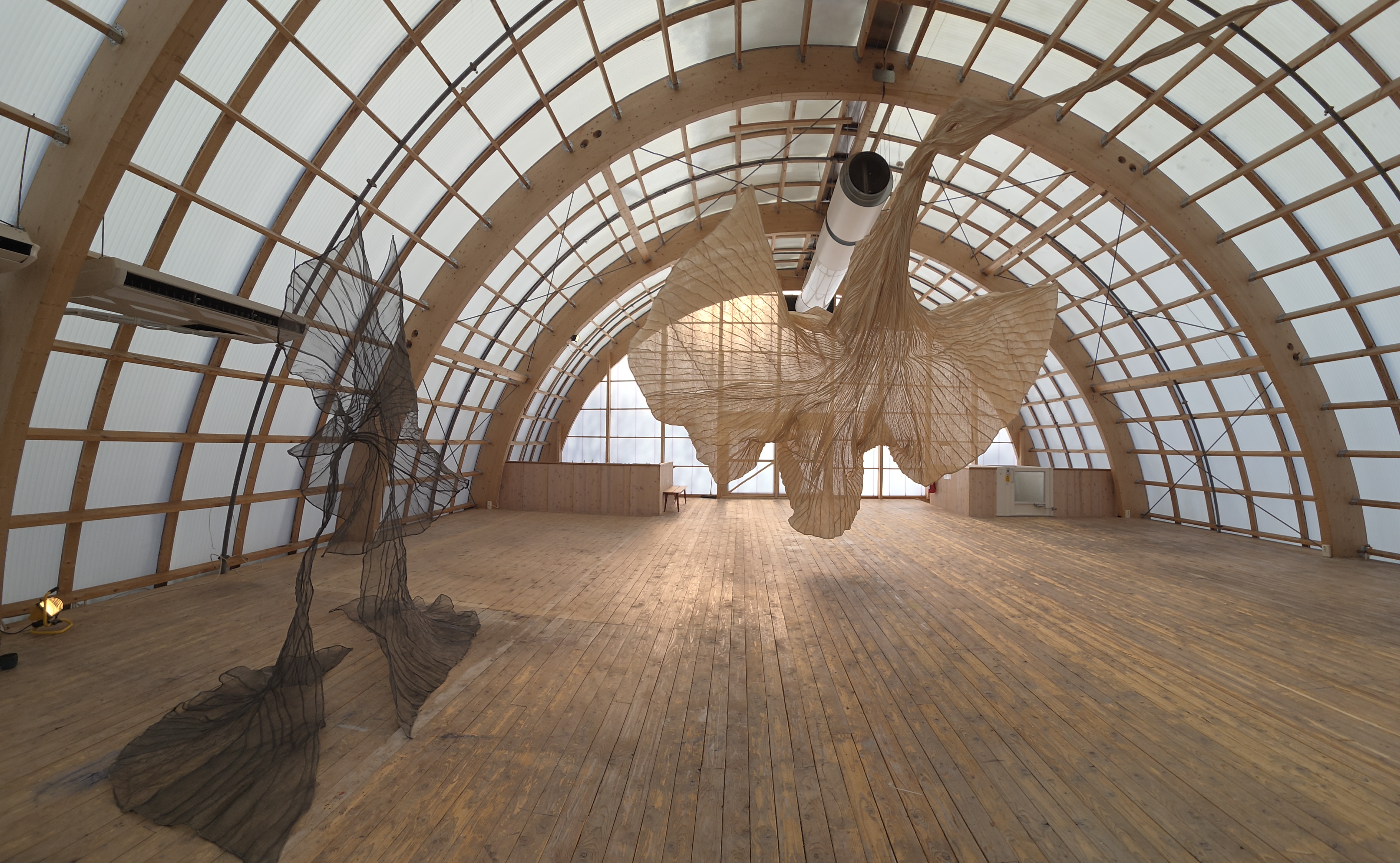 Dubbelnatur - DIANA ORVING