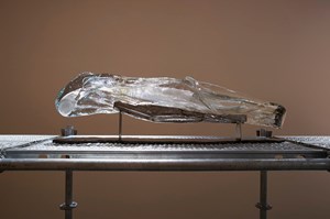 Åsa Jungnelius – Det bitterljuva / The Bittersweet