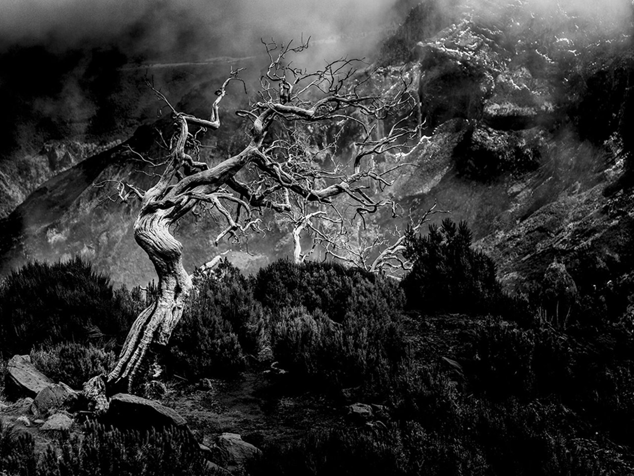 Patrik Wennerlund – Hello darkness