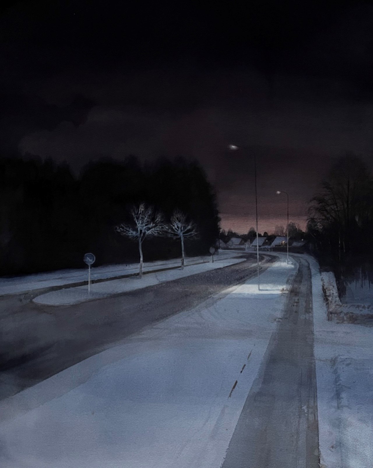 Magnus Petersson: Skymningsland