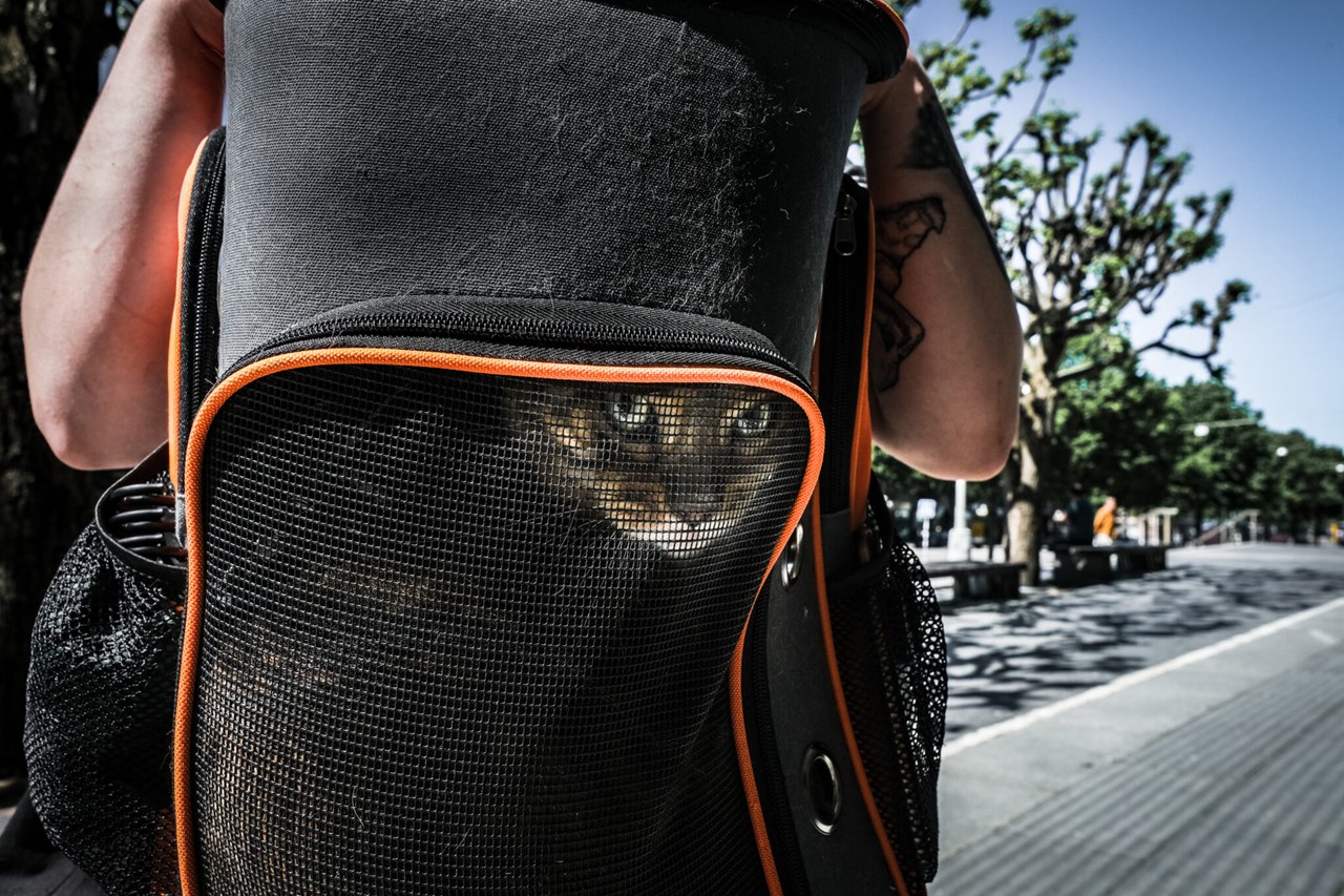 Anna Lithander – Ögonblick du missade