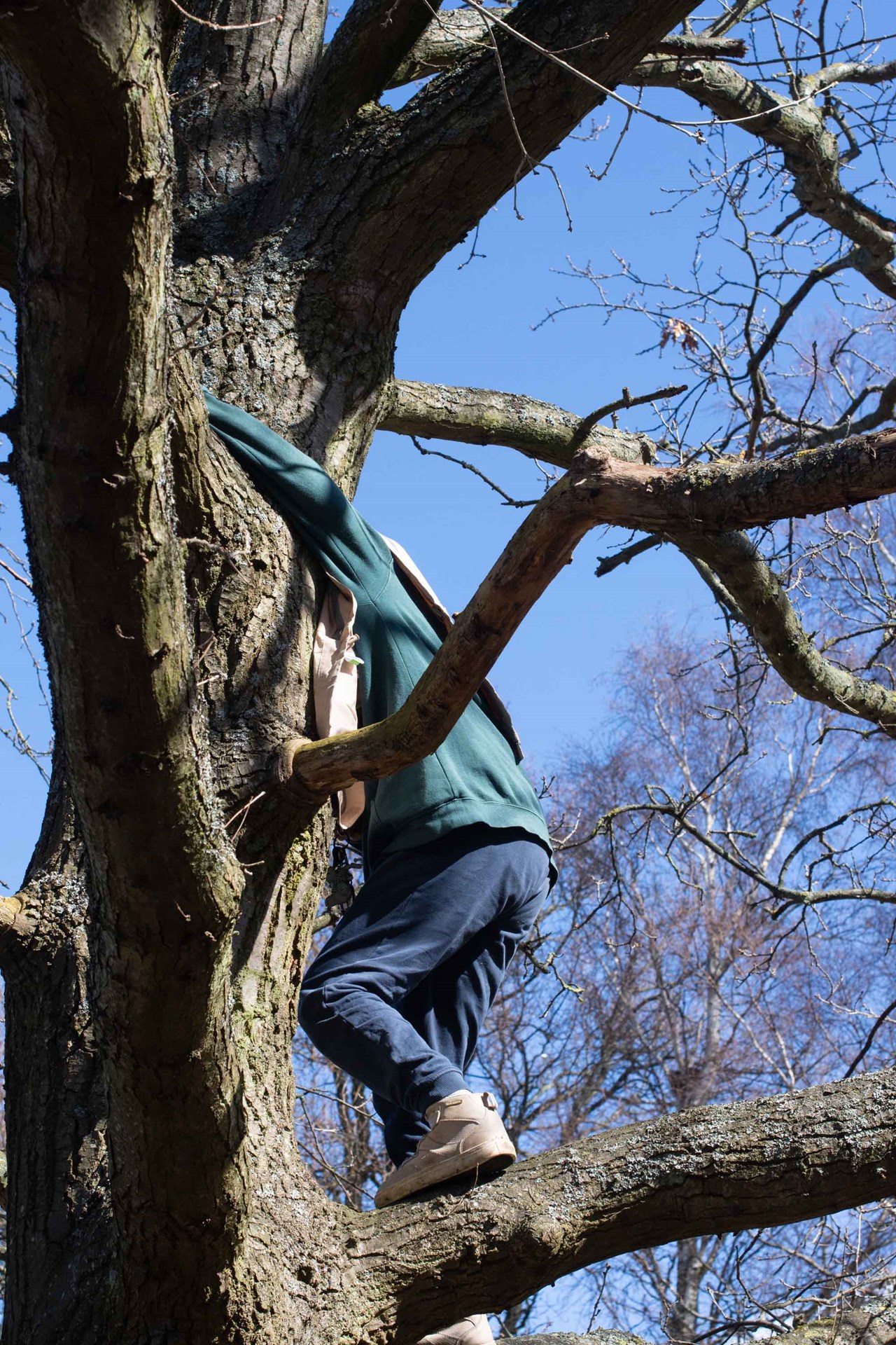 LEKENS NATUR