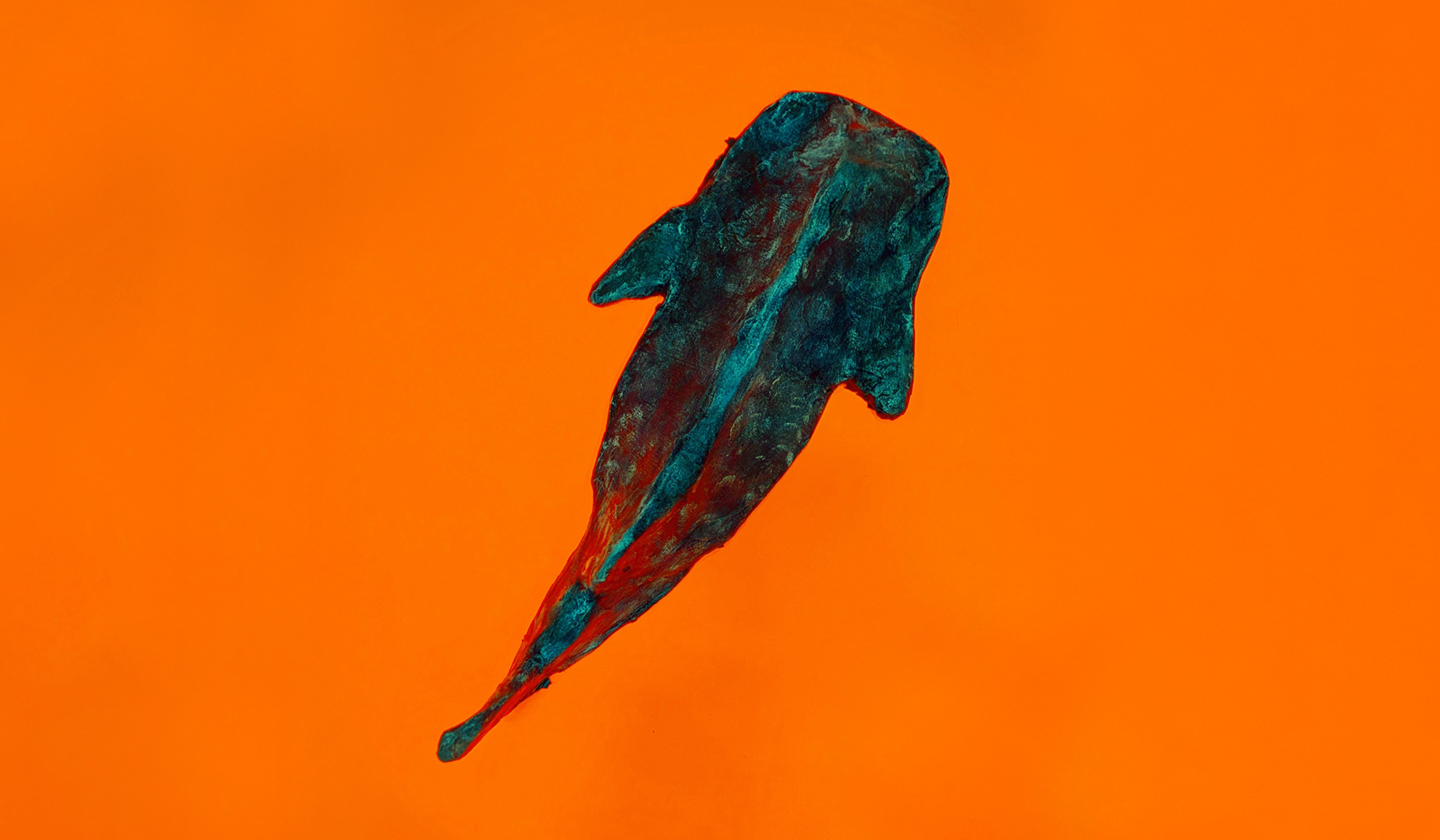 Barns vattenreflektioner och Vattenmångfald