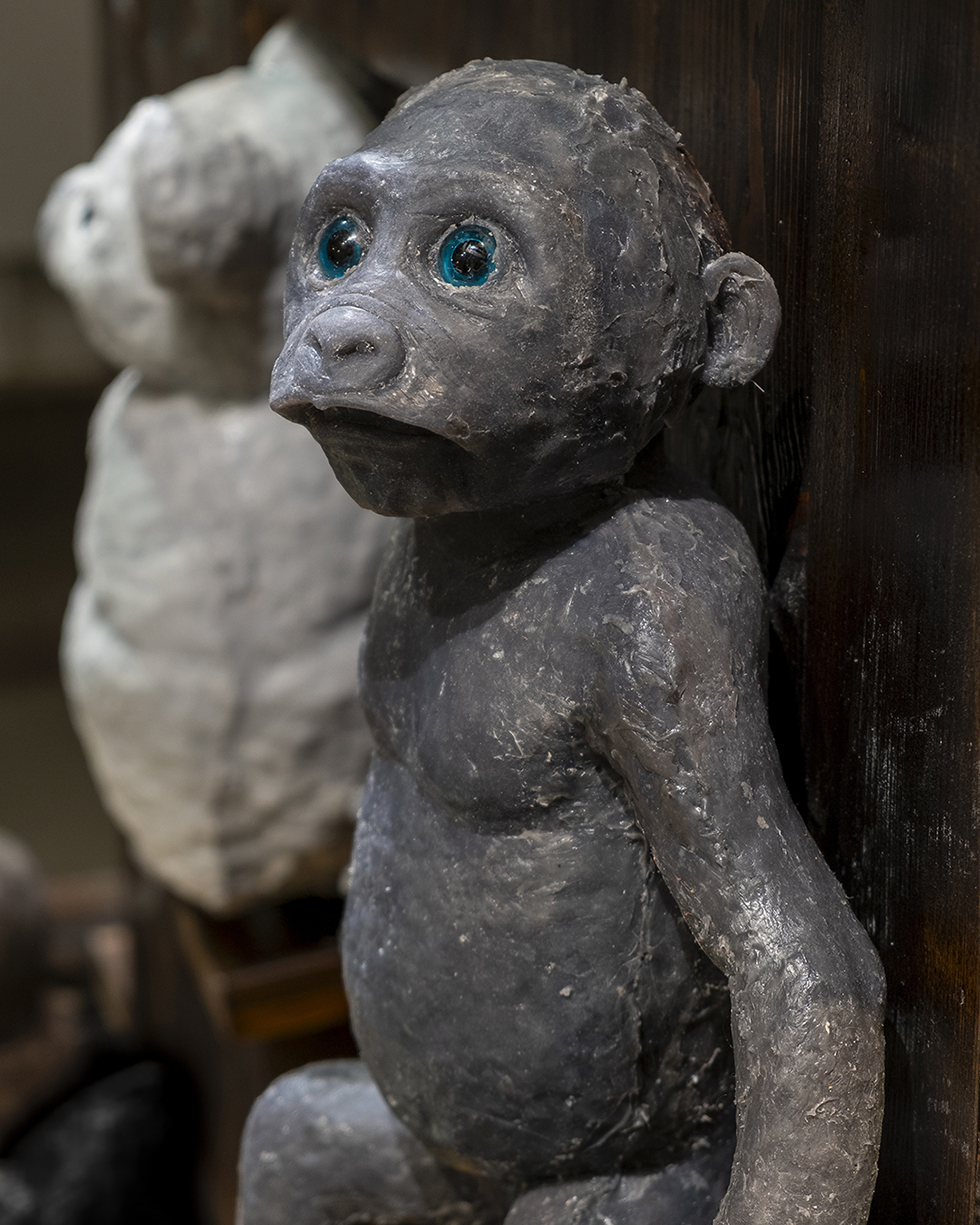 Hanna Beling - Hannas Ark