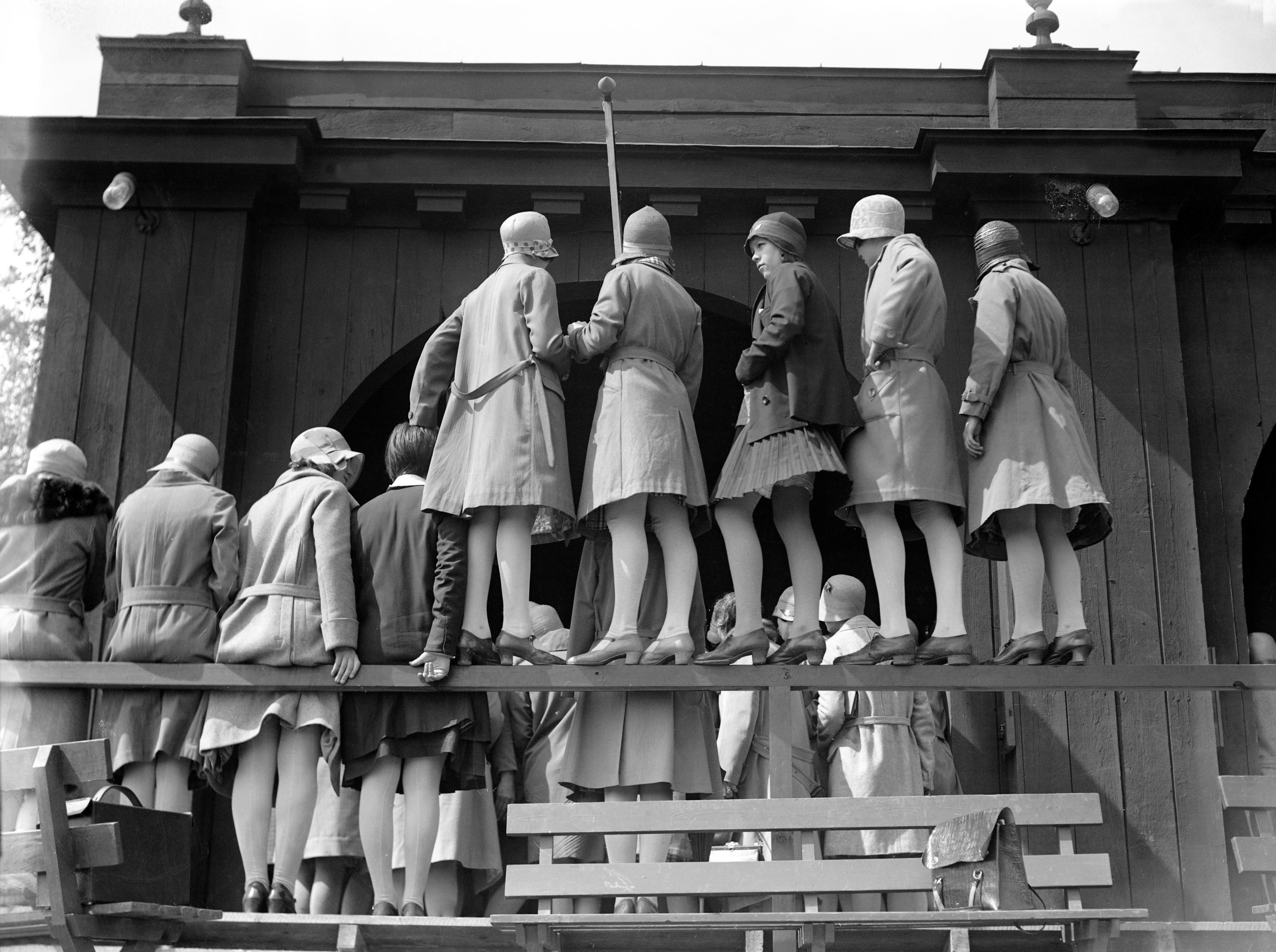 Finns i fler färger och storlekar