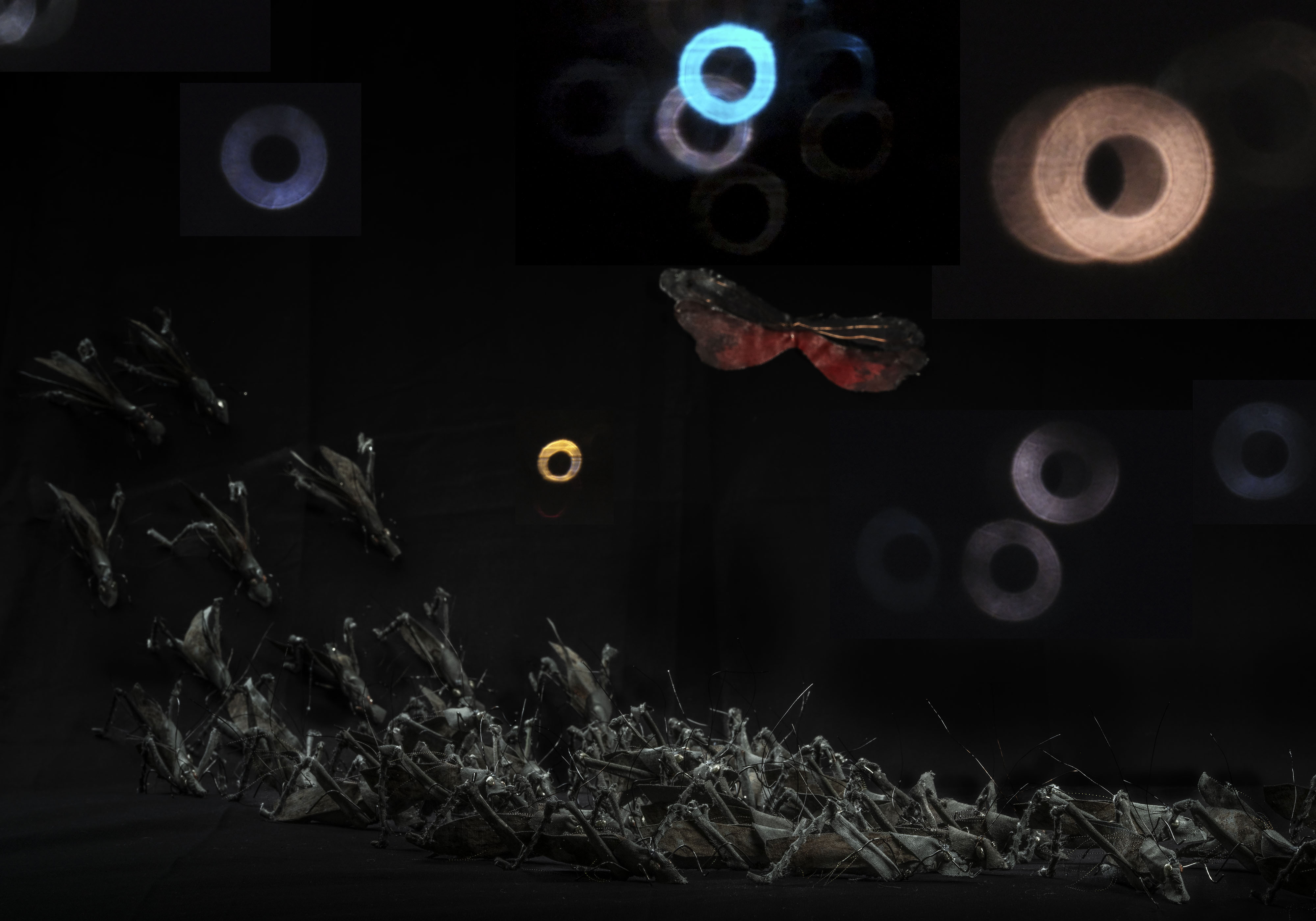 Pär Fredin / Maja Fredin