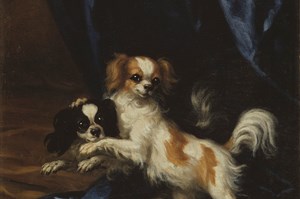 Best in Show – Hunden i konst och litteratur