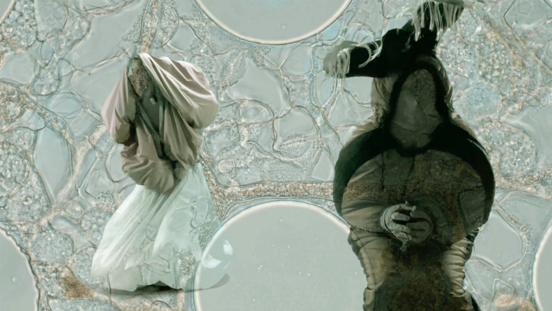 (p)Art of the Biomass