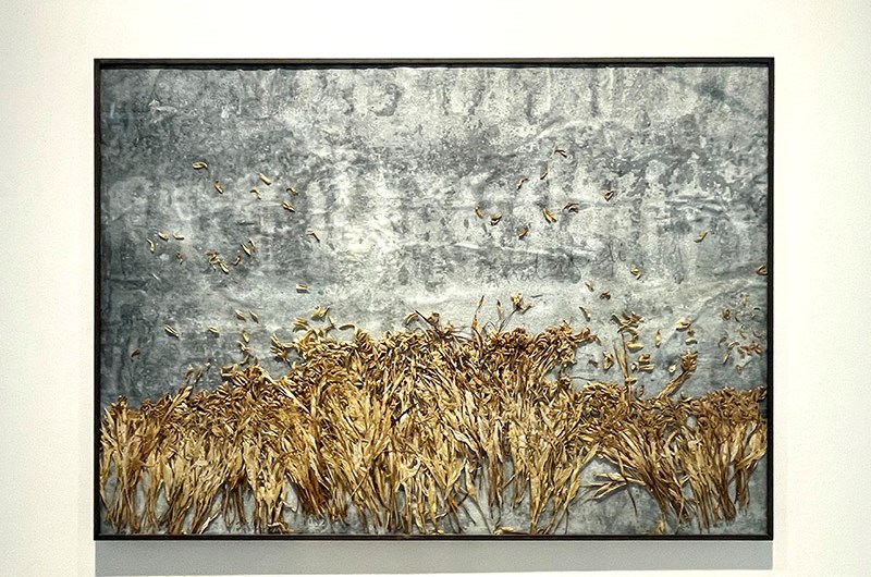 Anselm Kiefer. Mutatuli, 1991