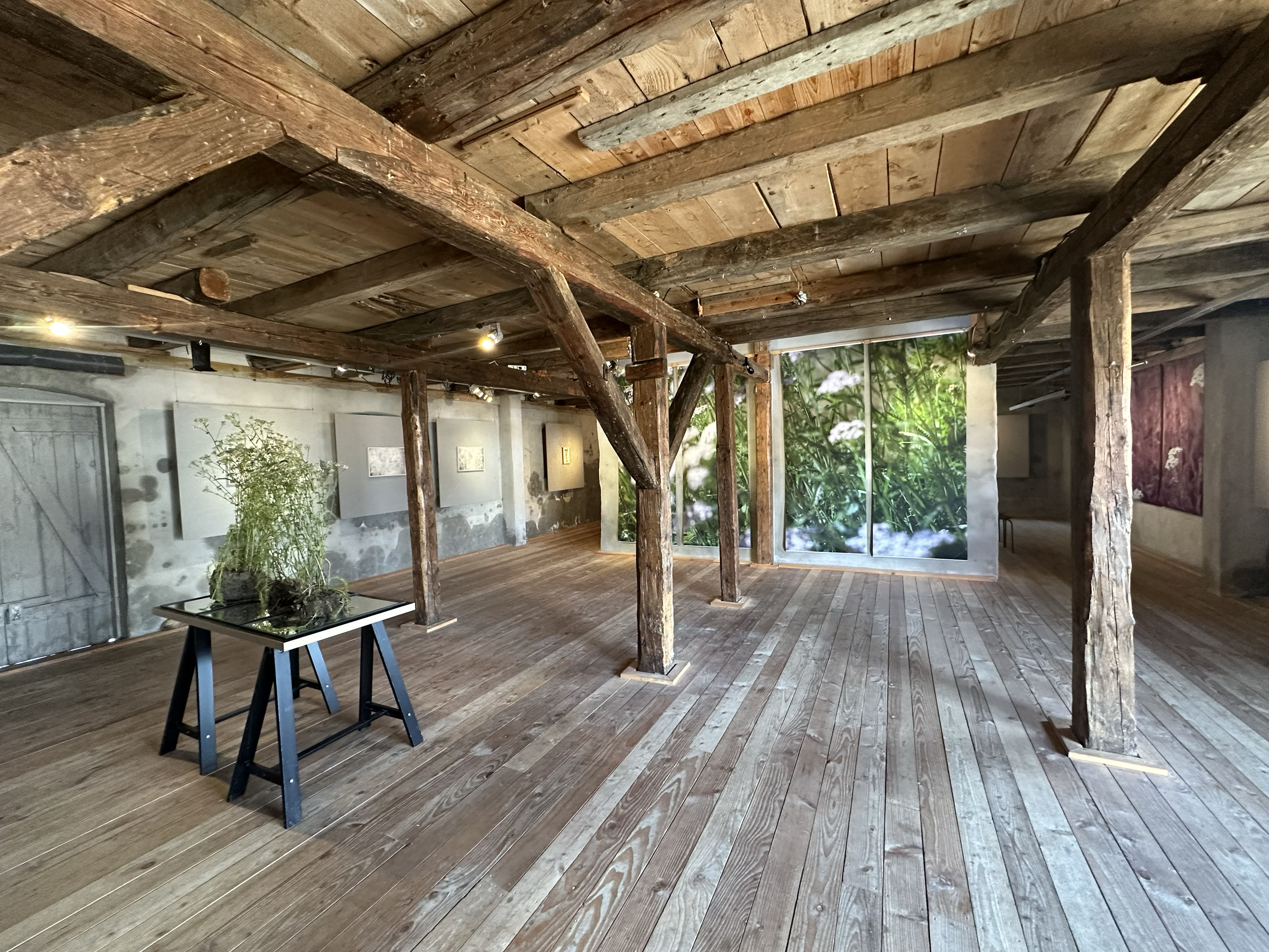 Annika Thörn Legzdins