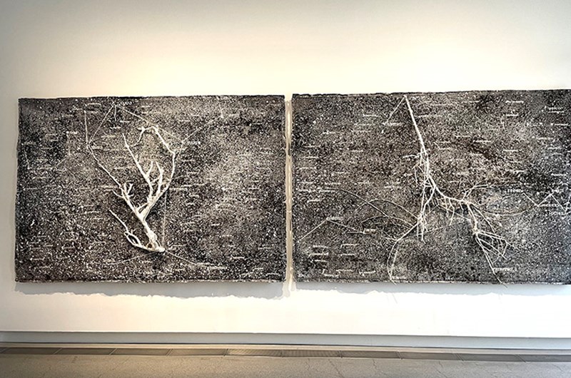 Anselm Kiefer. The secret life of plants for Robert Fludd, 2001-2002