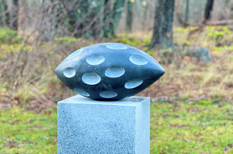Frö, (granit) Skaraborgs sjukhuspark, Skövde 2025