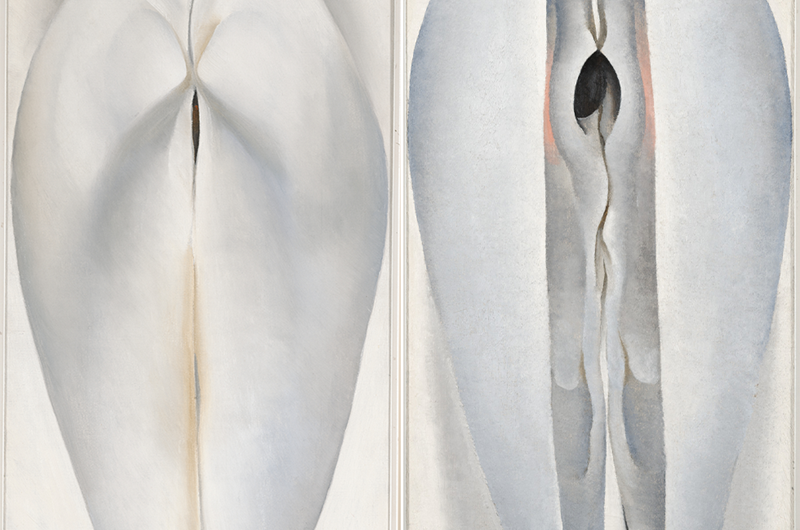 Georgia O'Keeffe  Closed Clam Shell, 1926  Oil on canvas, 51.1 × 23.2 cm  Dallas Museum of Art, The Eugene and Margaret McDermott Art Fund, Inc., bequest of Mrs. Eugene McDermott  Photo: Courtesy Dallas Museum of Art