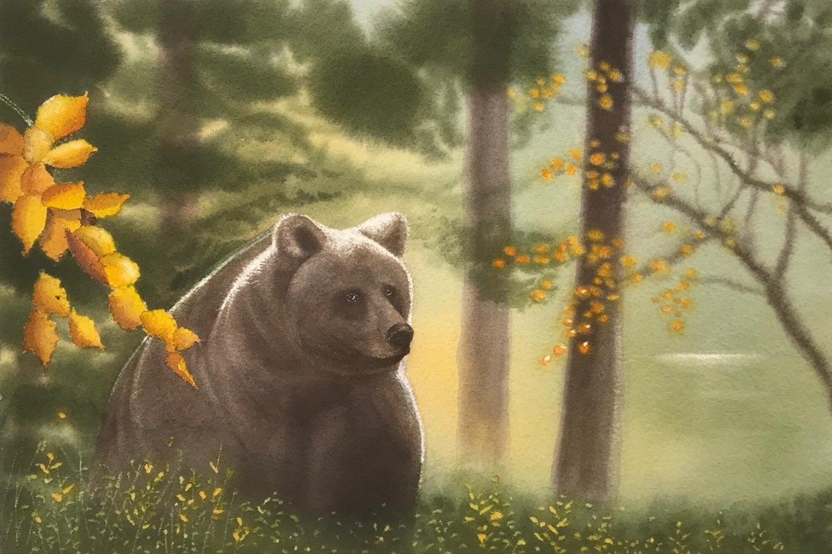 /media/t4xhw5um/21_sonatine_ursus_194701.jpg
