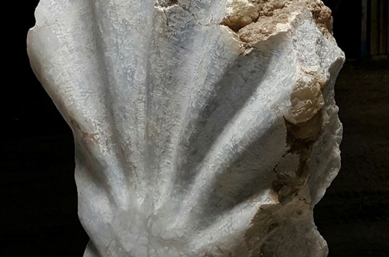 Ann Carlsson Korneev, Lyssna till havet II, Alabaster, sockel av diabas