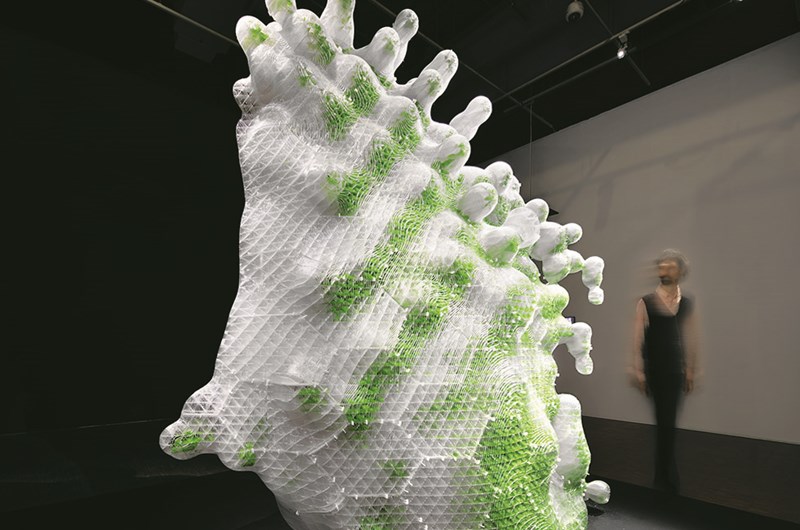  ecoLogic Studio  HORTUS XL Astaxanthin.g, 2020  Foto: © NAARO