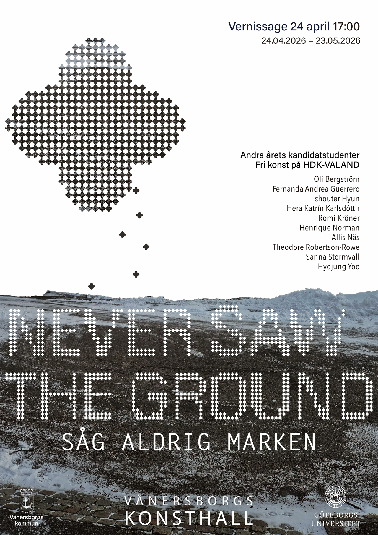 Never Saw the Ground/ Såg aldrig marken