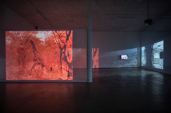 RECENSION: Lina Selander på Marabouparkens Konsthall