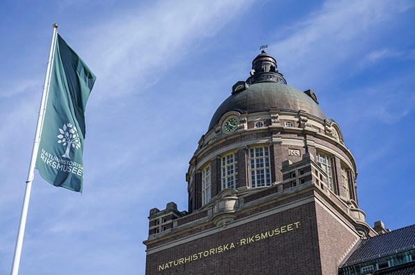 Taket rasade in – museum får 12,8 miljoner
