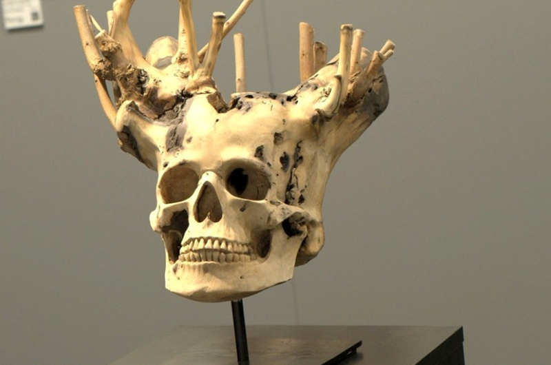 Arcangelo Ambrosi · Dendrosplanchnocranium