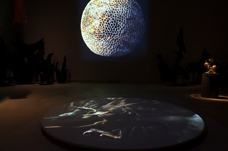Growth / Decay från frö till förfall - en utställning med Cecilia Levy & Martin Bergström