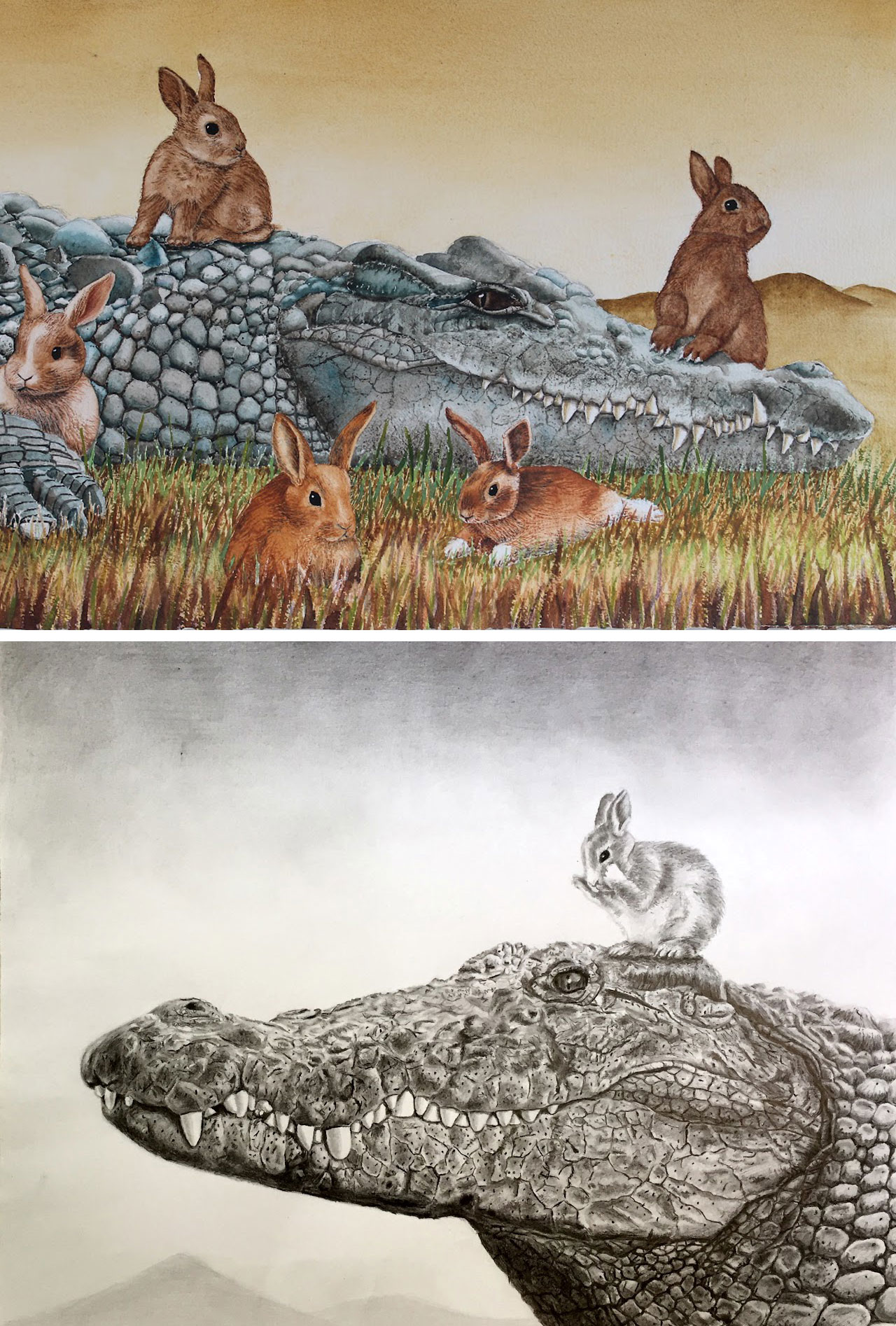 Krokodil och kaniner samt Kanin som tvättar sig