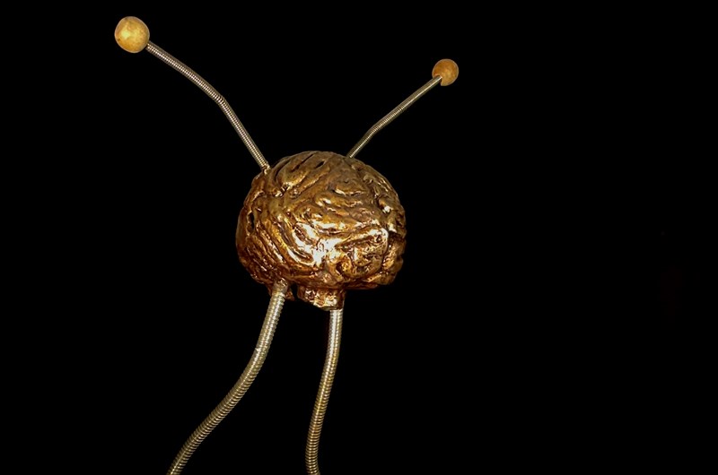 Space Ant 2